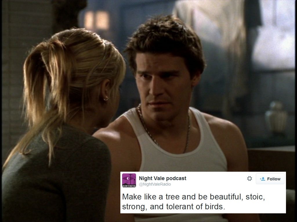 Night Vale tweet captions 26 BtVS screencaps captioned with Welcome to Night Vale tweets